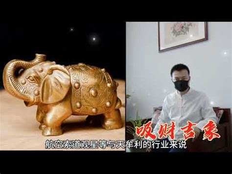 大象擺放位置|【風水大象擺放位置】風水大象擺放位置大揭密！象徵吸財、升官。